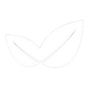 Topbar icon