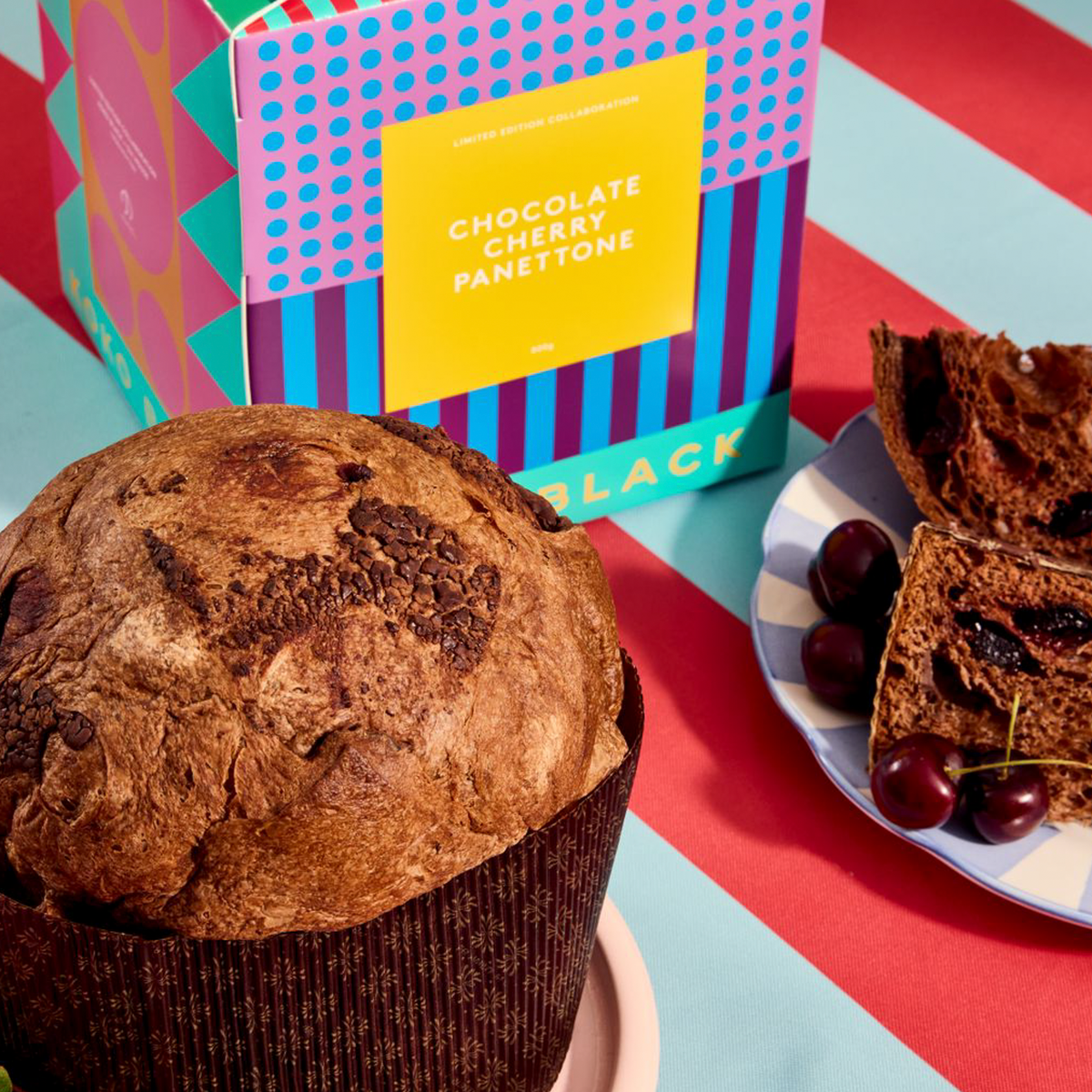 Koko Black x Oji House Chocolate Cherry Panettone