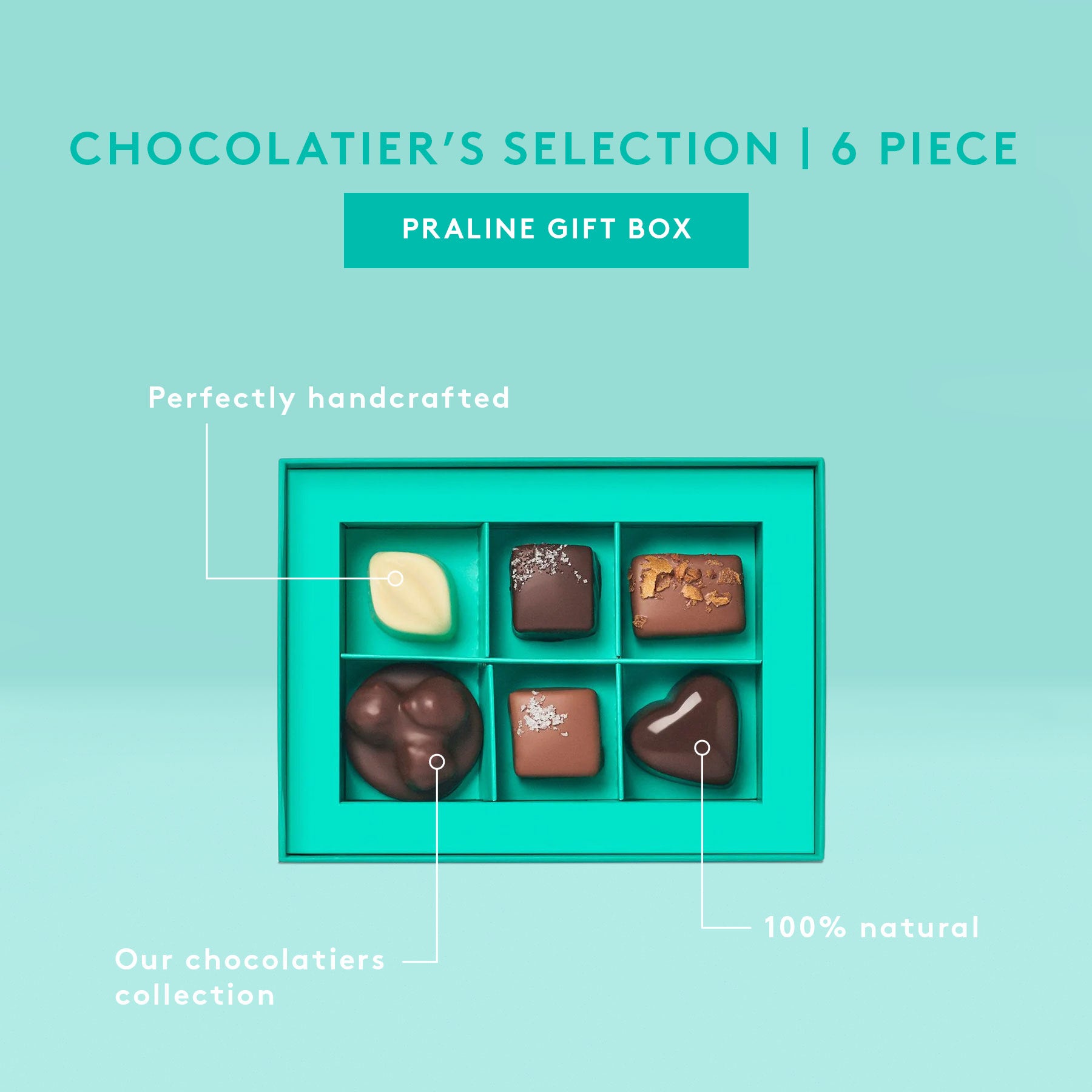 Chocolatier's Selection Praline Gift Box | 6 Piece