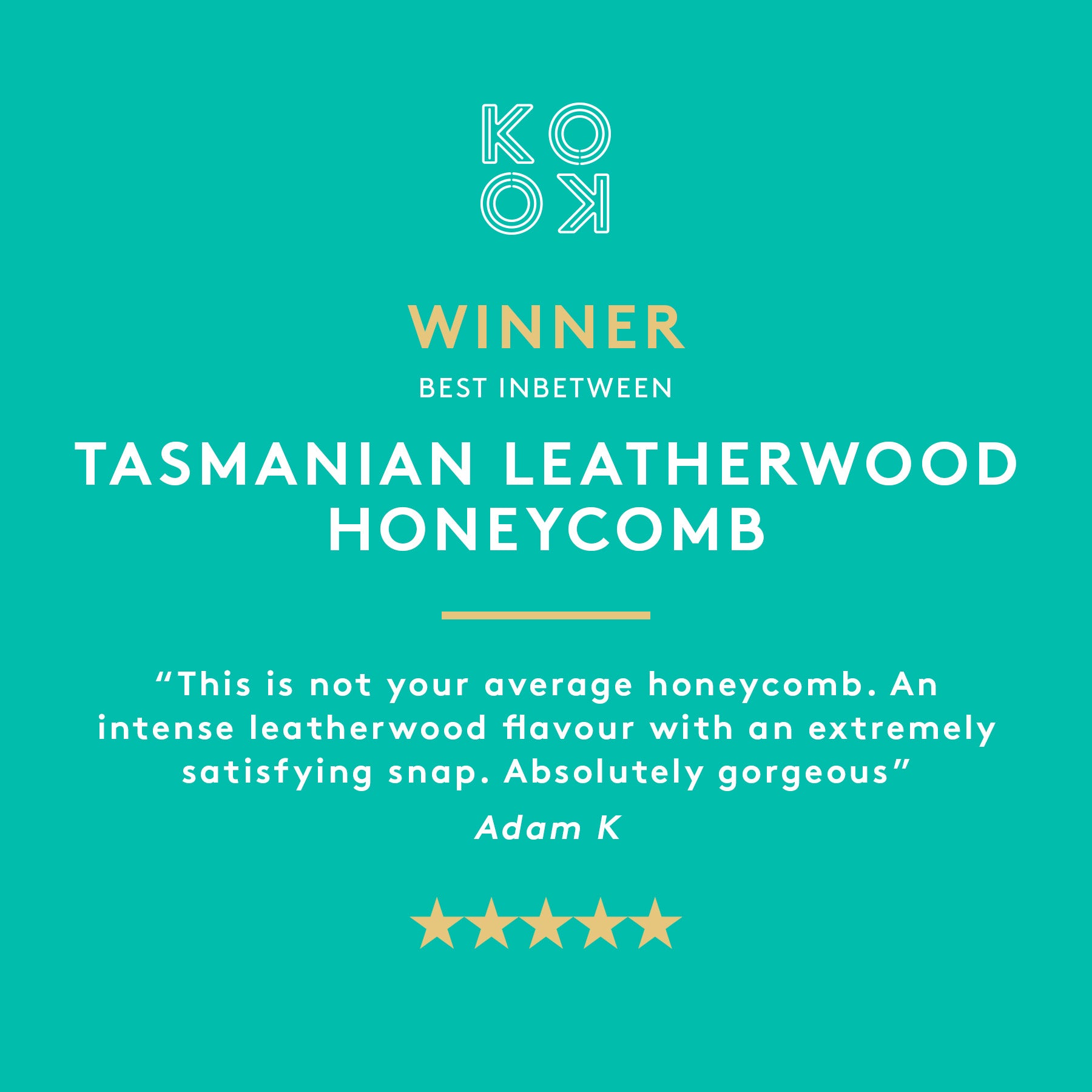 Tasmanian Leatherwood Honeycomb | Dark Chocolate