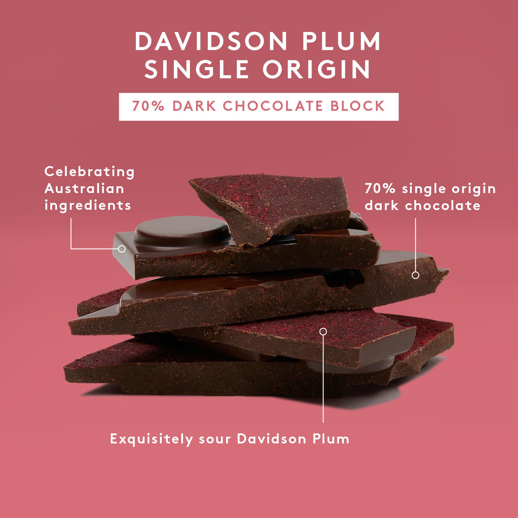 Davidson Plum Single Origin 80g | 70% Dark Chocolate Block