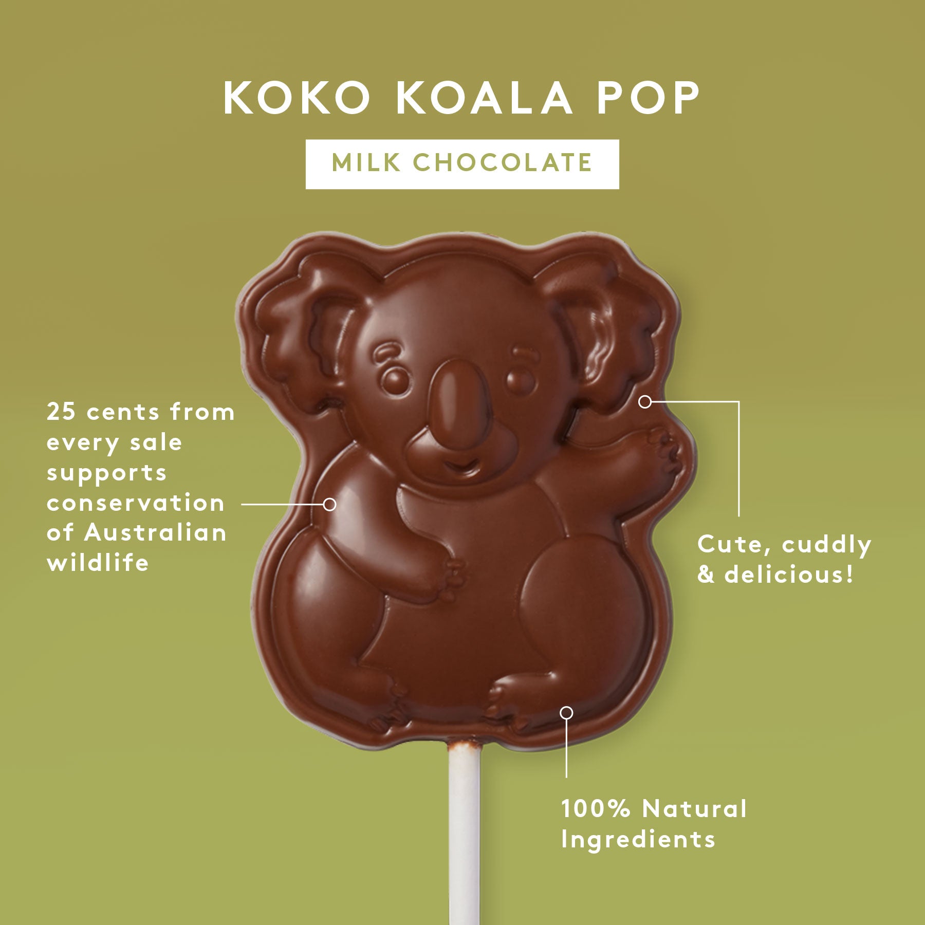 Koko Koala Pop 30g | Milk Chocolate