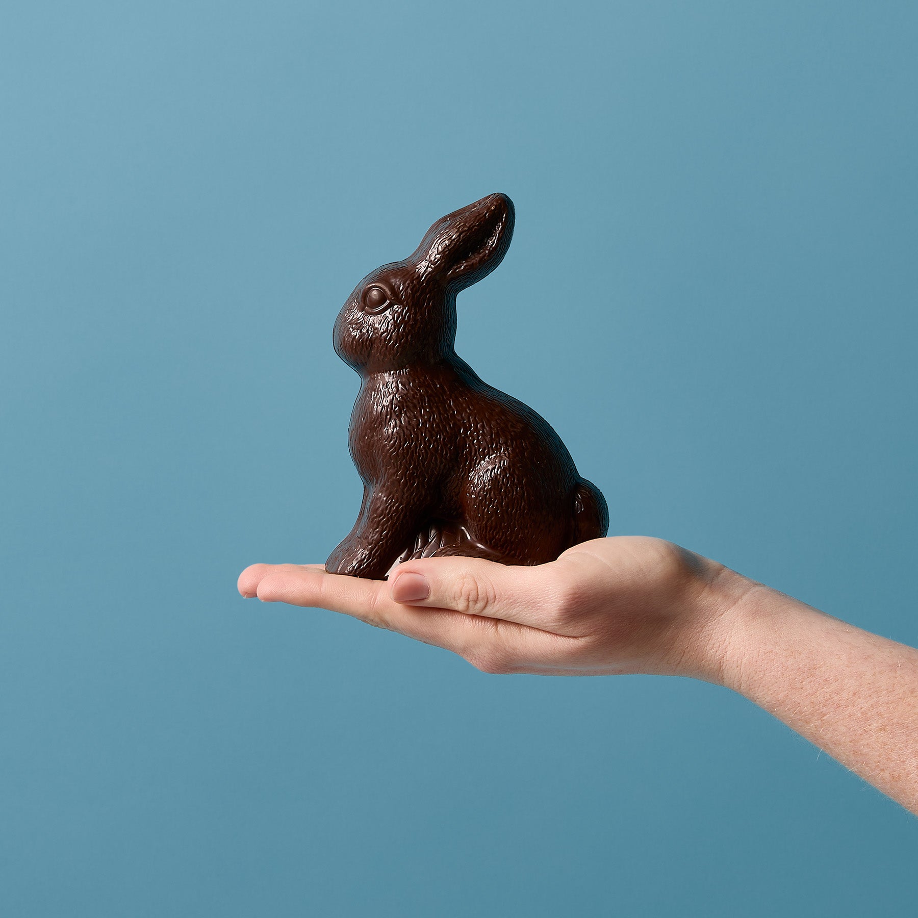 The Littlest Bunny | 54% Dark Chocolate