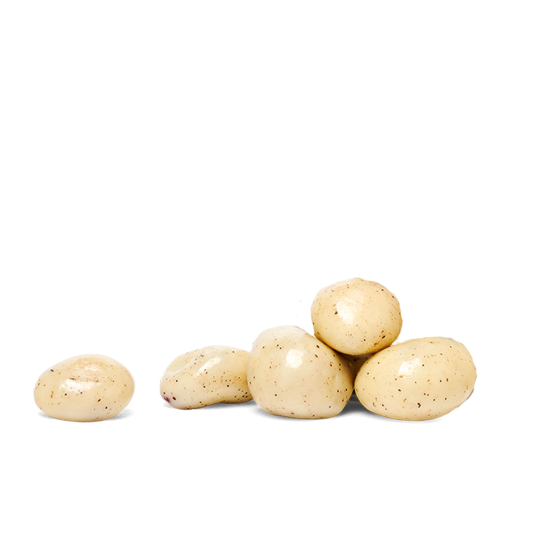 Magic Pudding Bites | White Chocolate