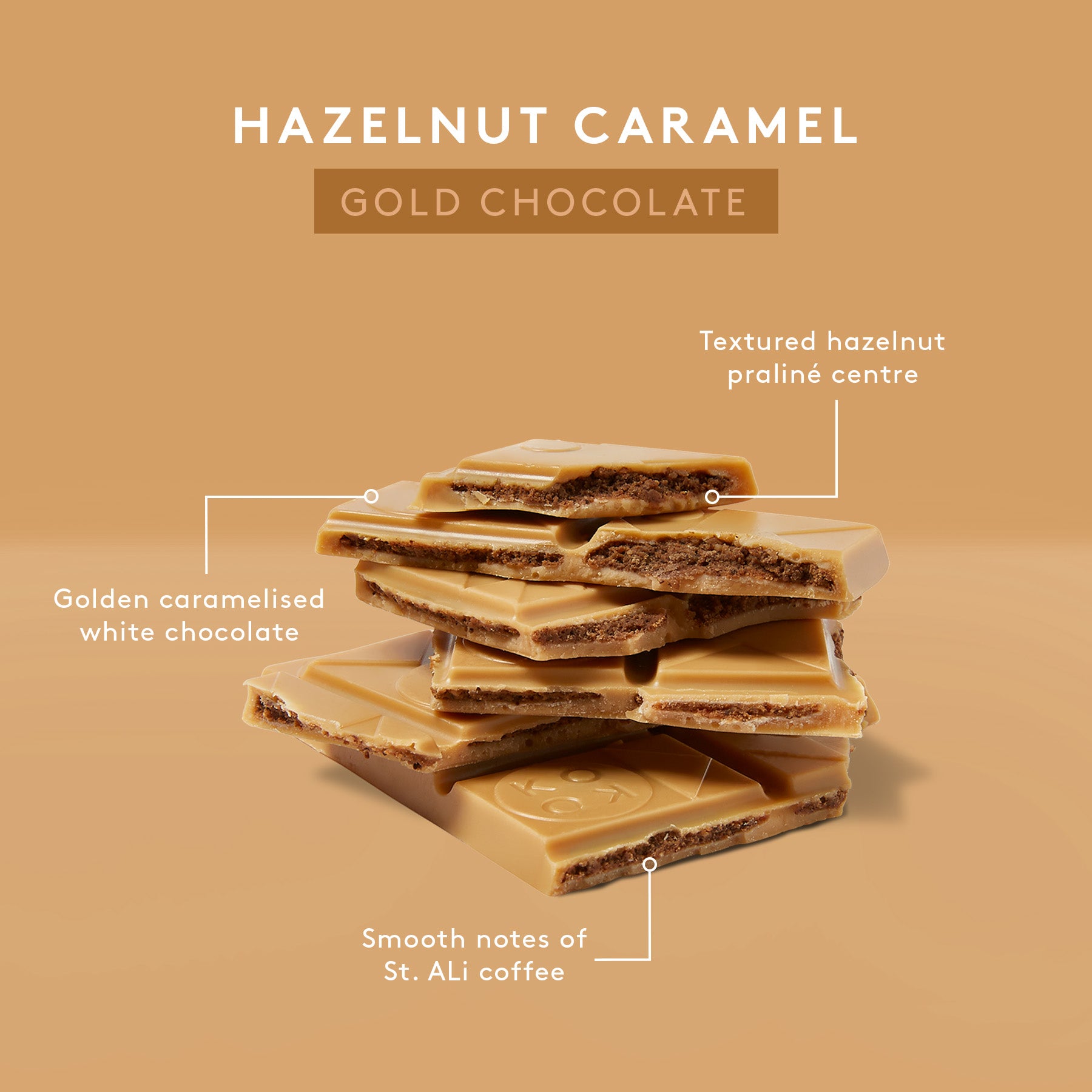 Hazelnut Caramel Mocha | Gold Chocolate Block