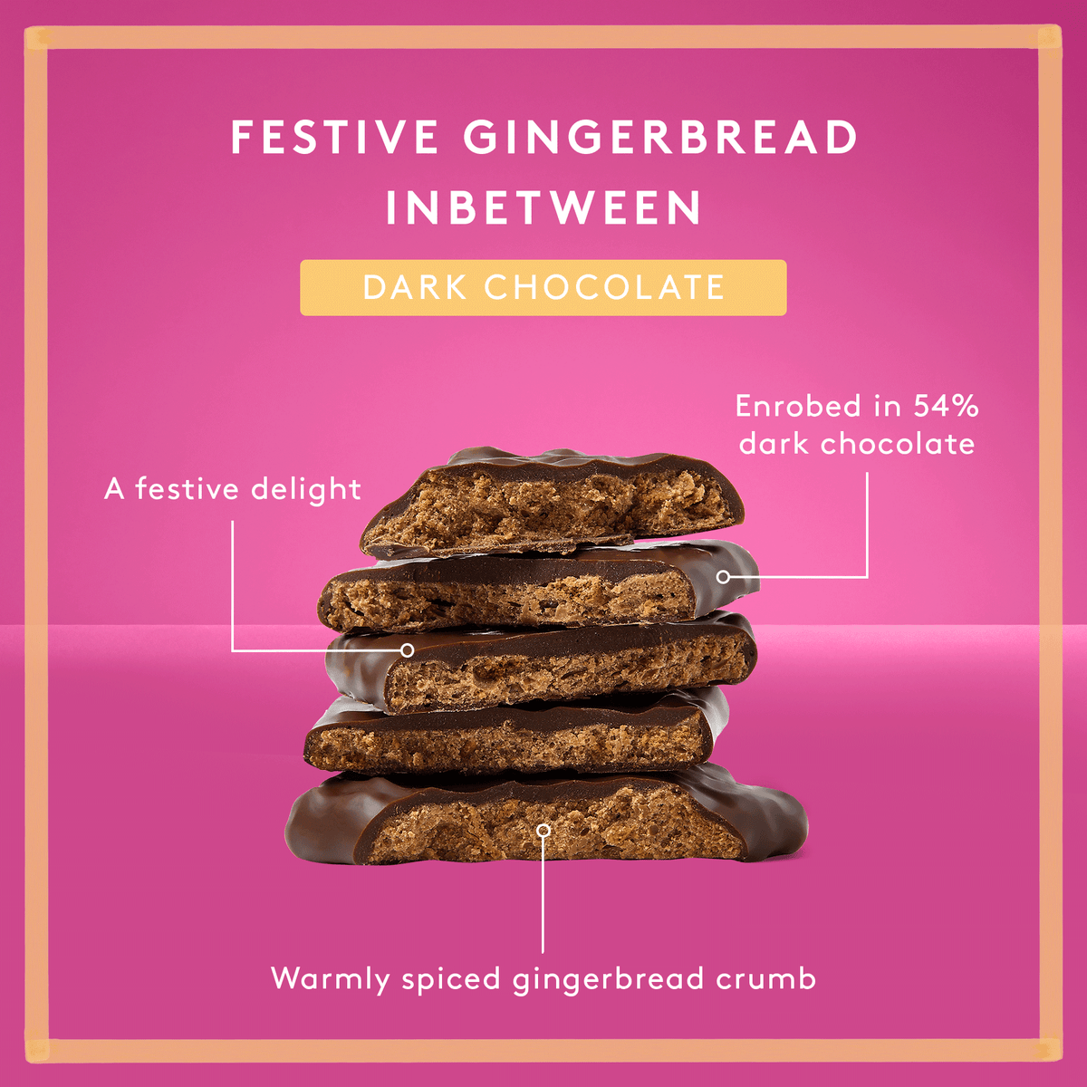 Festive Gingerbread Inbetween | Dark Chocolate