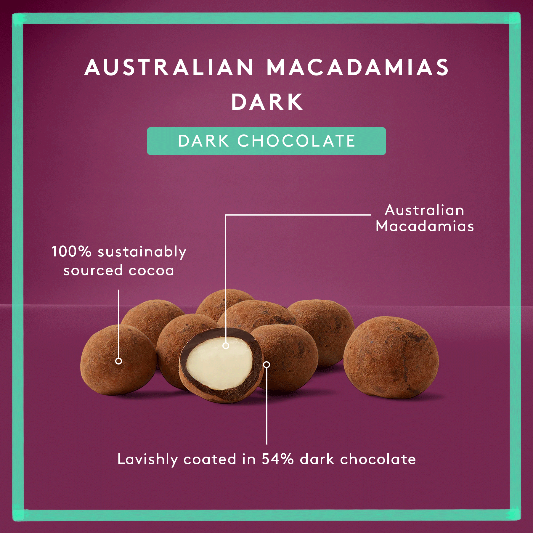 Dark Macadamias | Dark Chocolate