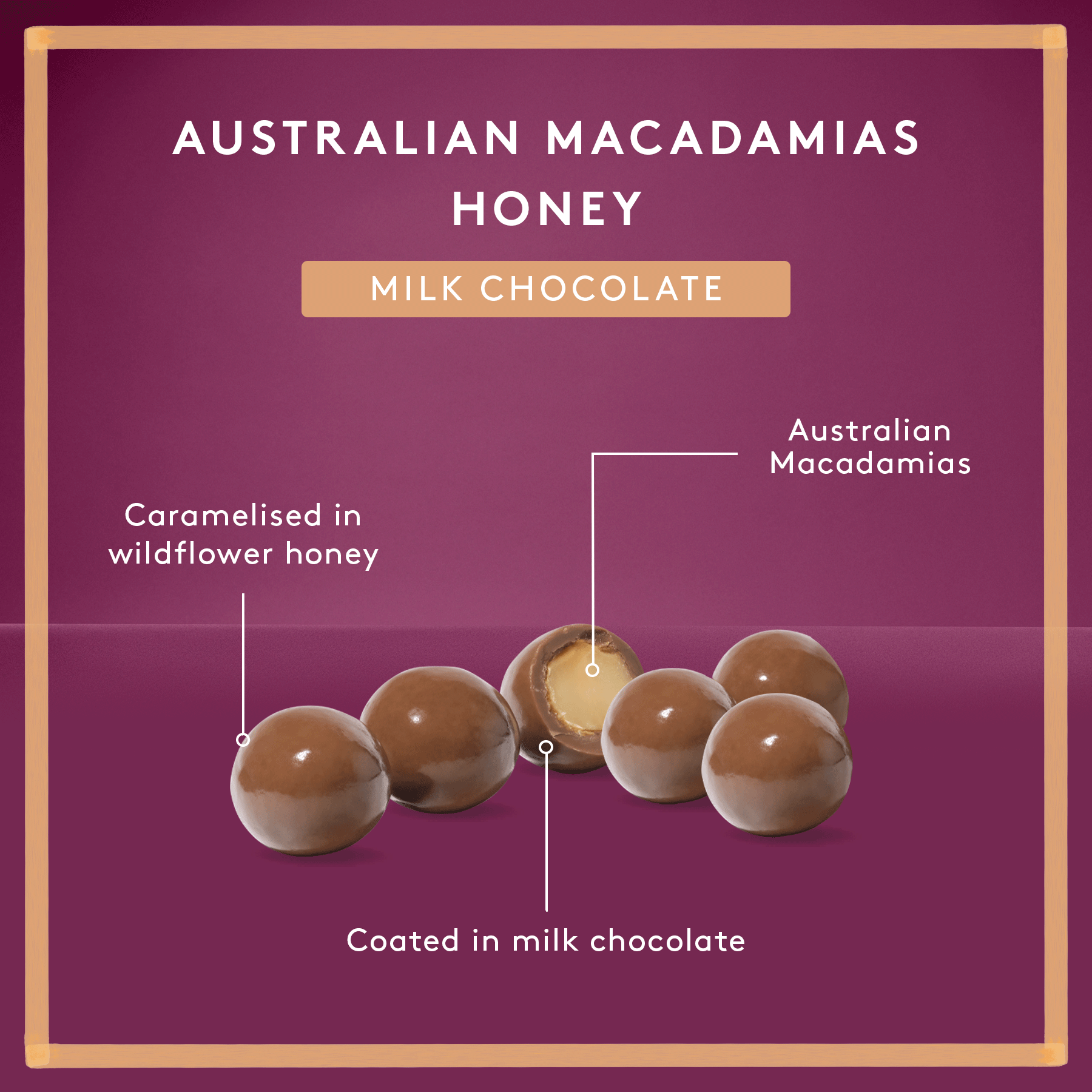 Honey Macadamias | Milk Chocolate