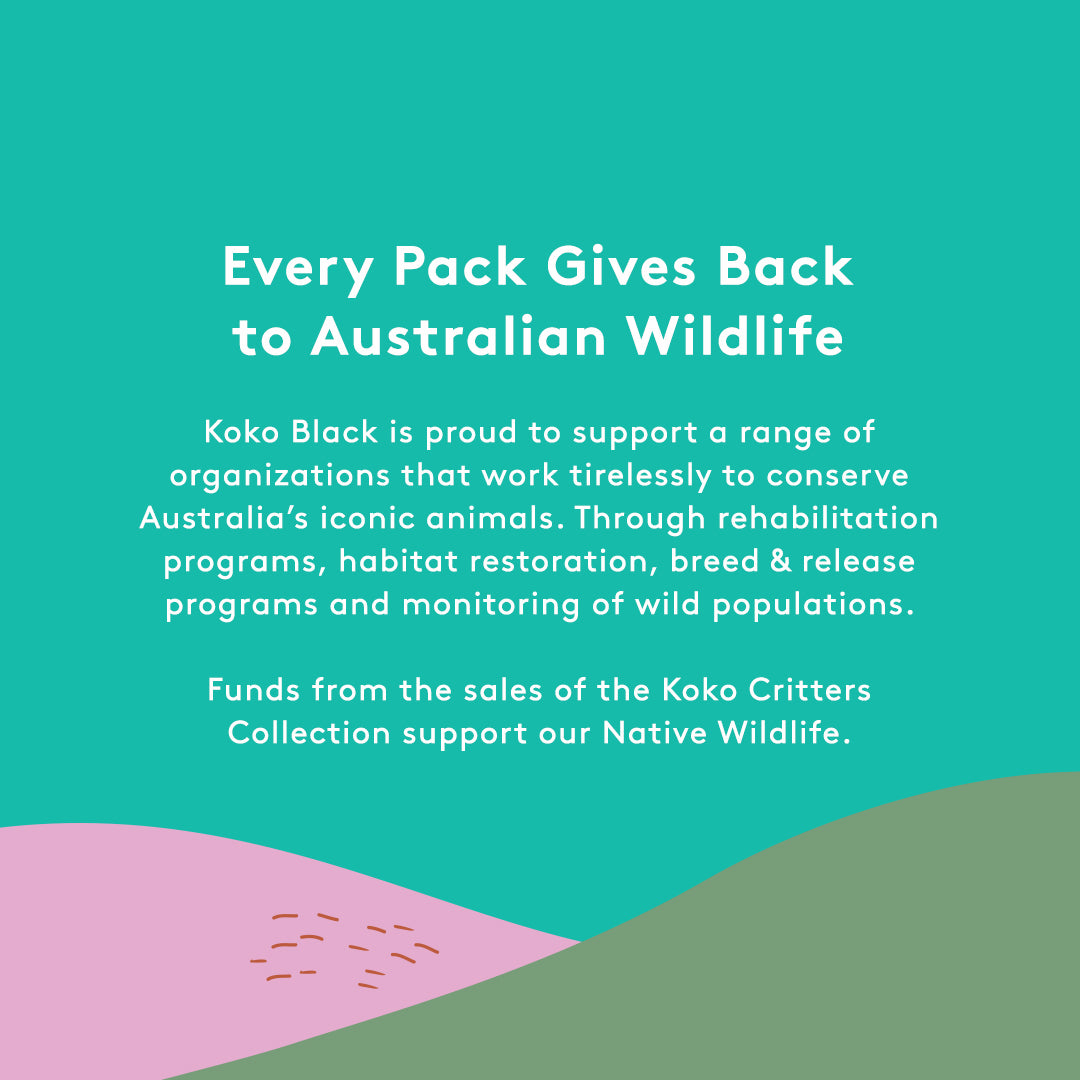 Eddie Echidna Mini Block | Milk Chocolate
