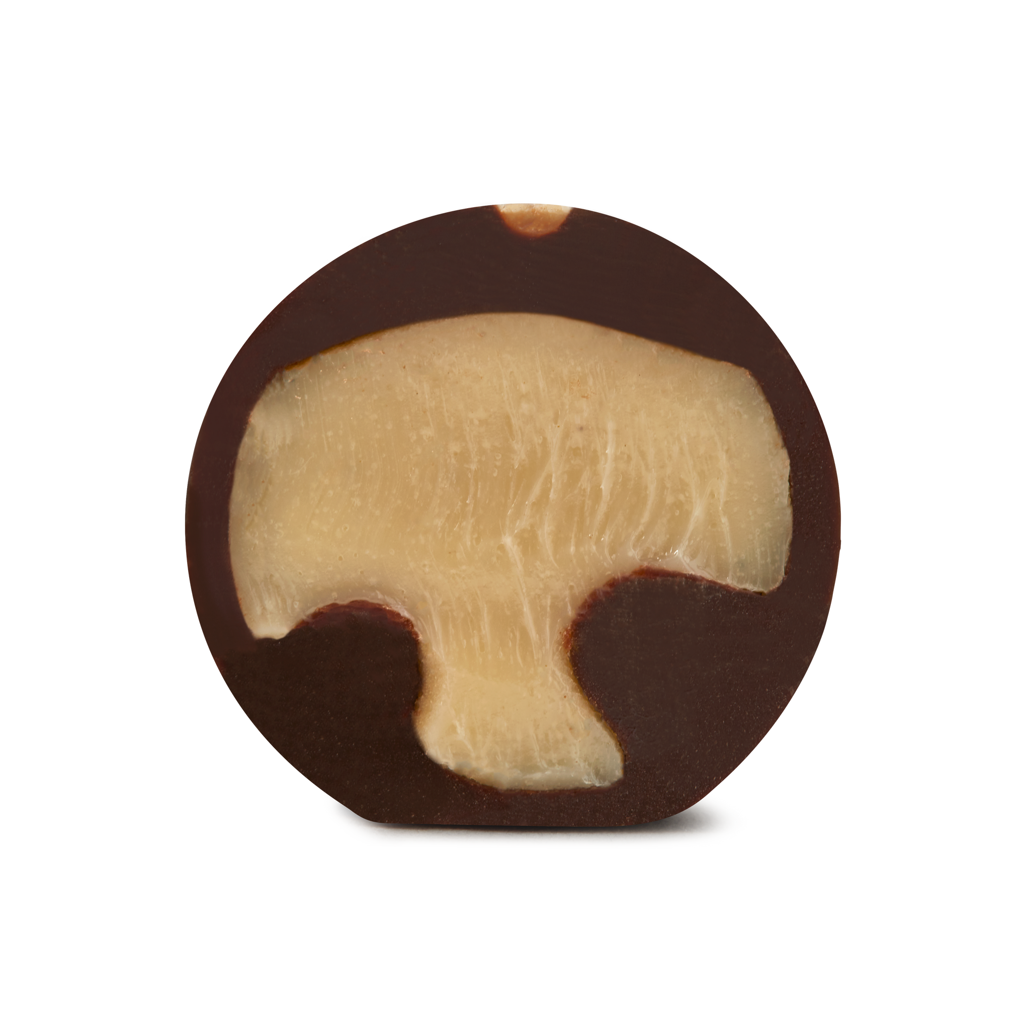 Brandy Eggnog Marbles | Dark Chocolate