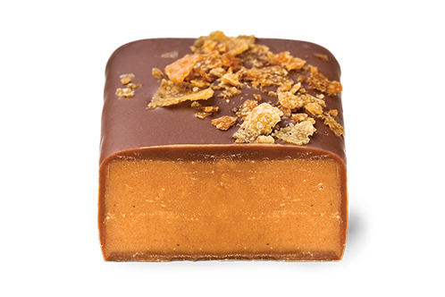 Hazelnut Crisp – Koko Black Chocolate Hazelnut Crisp – Koko Black Chocolate