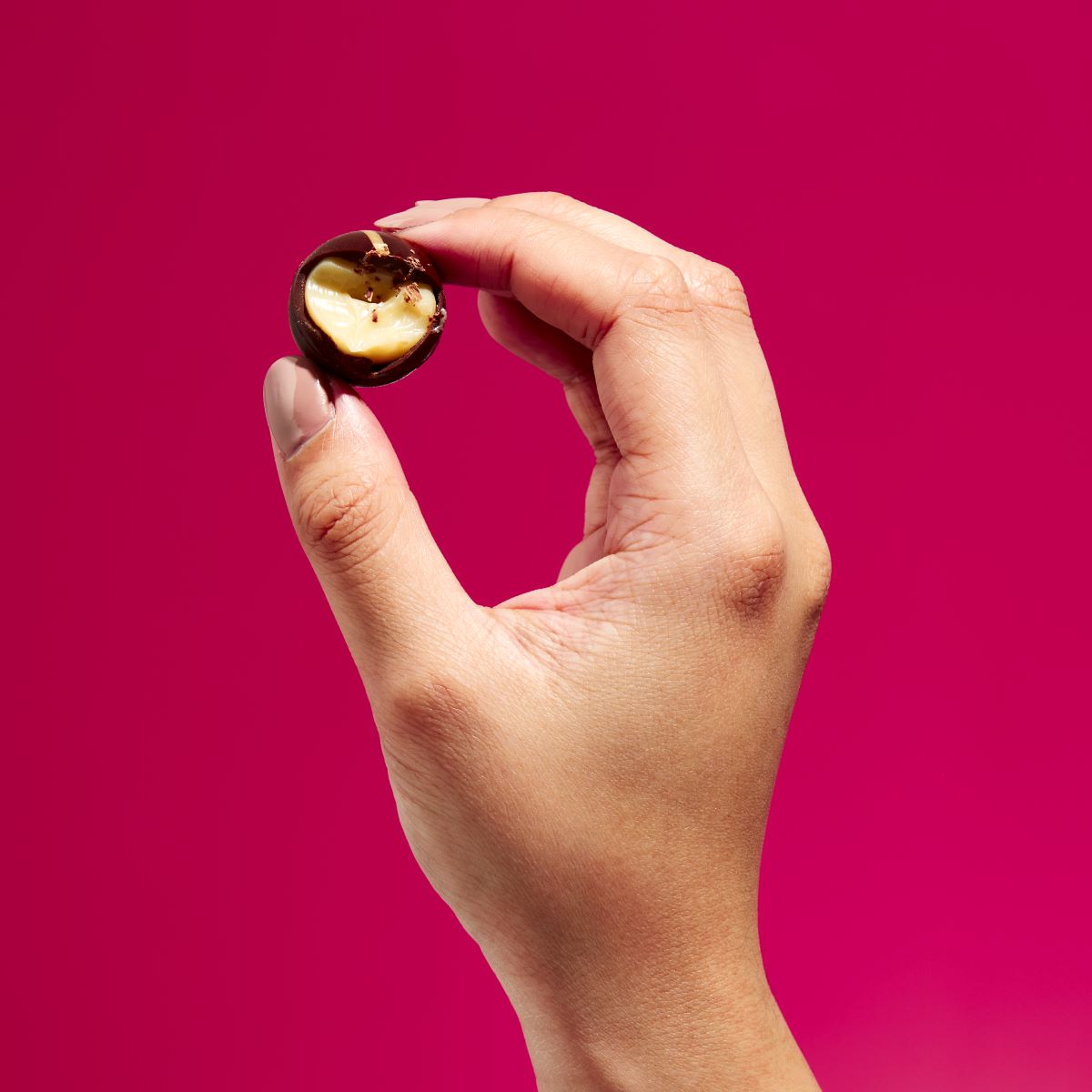 Brandy Eggnog Marbles | Dark Chocolate