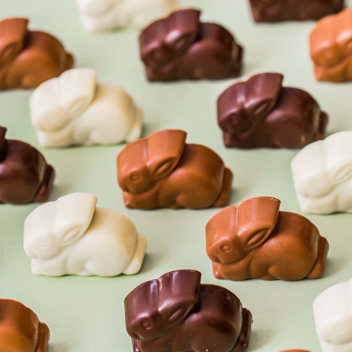Hazelnut Praline Triplet | White, Milk & 54% Dark Chocolate